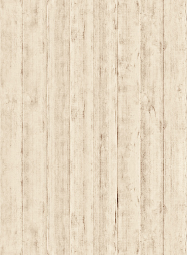 【国际英文版】全球通用的攻击网站服务器